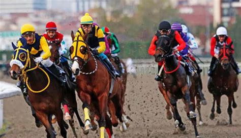 ﻿Sıralı 5 li bahis nasıl yapılır: At yarışlarında bilinmesi gereken kurallar At Yarışı